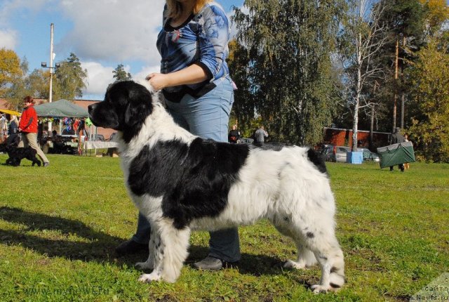 Фотография № 105784