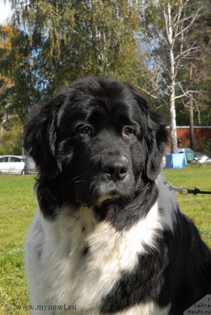 Фотография № 105787