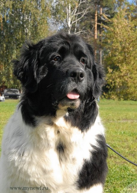 Фотография № 105788