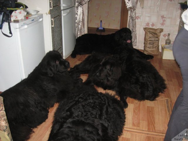 Фотография № 105790