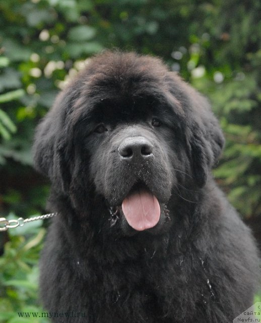 Фотография № 105815