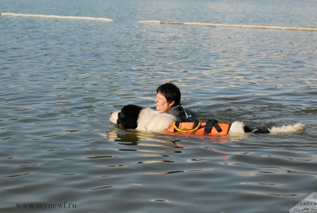 Фотография № 105820