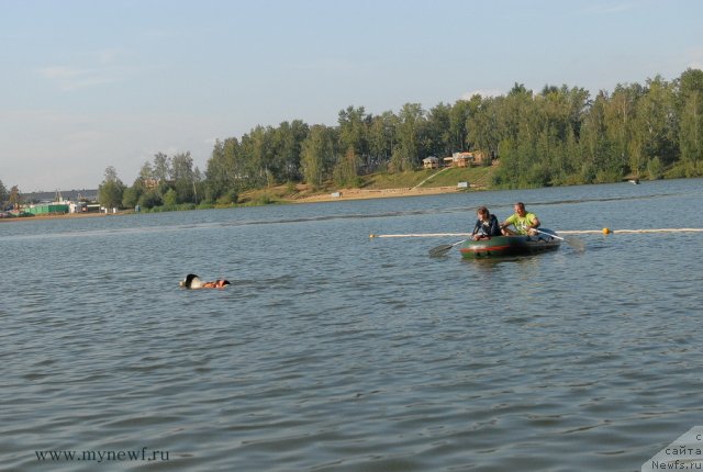 Фотография № 105834