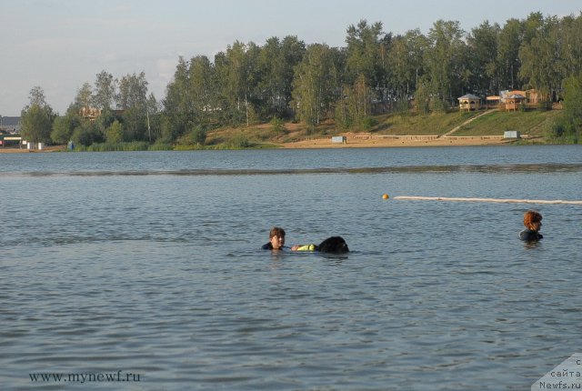 Фотография № 105895