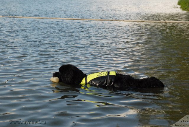 Фотография № 105899