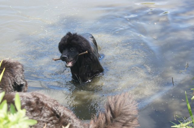 Фотография № 105990