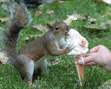 Фотография № 106091