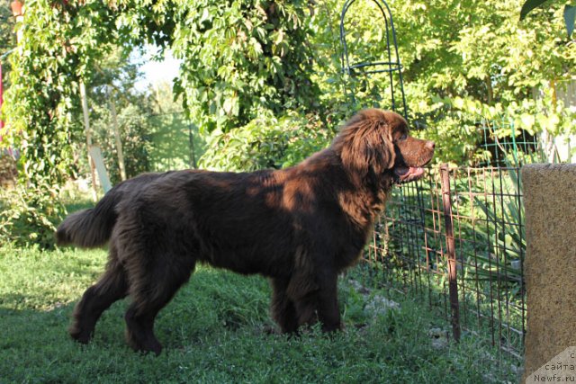 Фотография № 106100