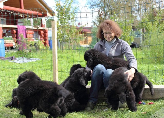 Фото: Galina Akulina (Галина Акулина)