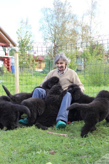 Фото: Александр Акулин