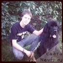 Фото: ньюфаундленд Aleks Zavoevatel' Serdec (Алекс Завоеватель Сердец)