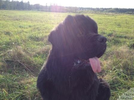 Фотография № 106224