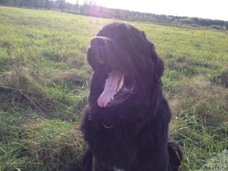 Фотография № 106225