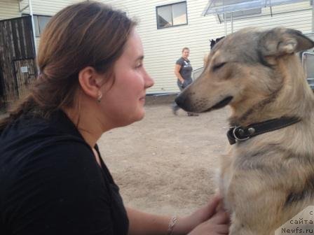 Фотография № 106228