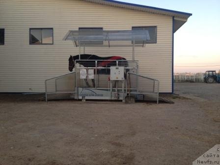 Фотография № 106229