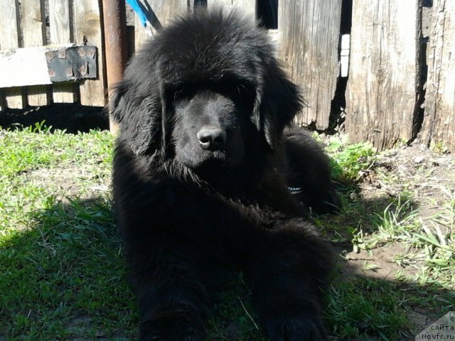 Фото: Andrey Lyapustin (Андрей Ляпустин)