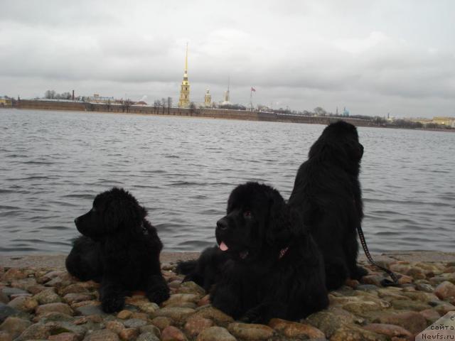 Фотография № 10626