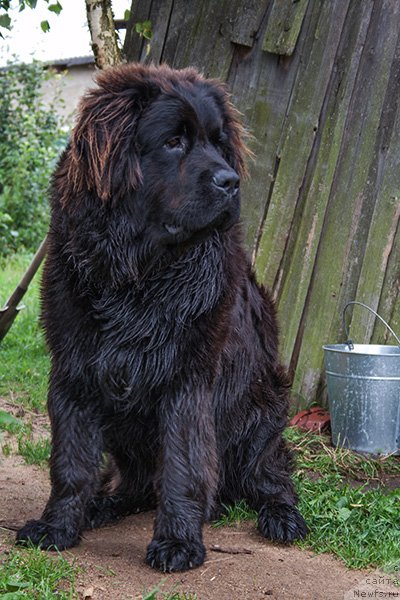 Фотография № 106304