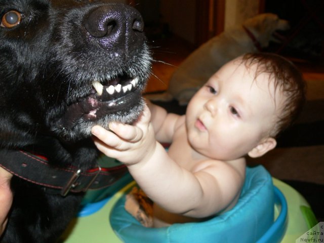 Фотография № 106307