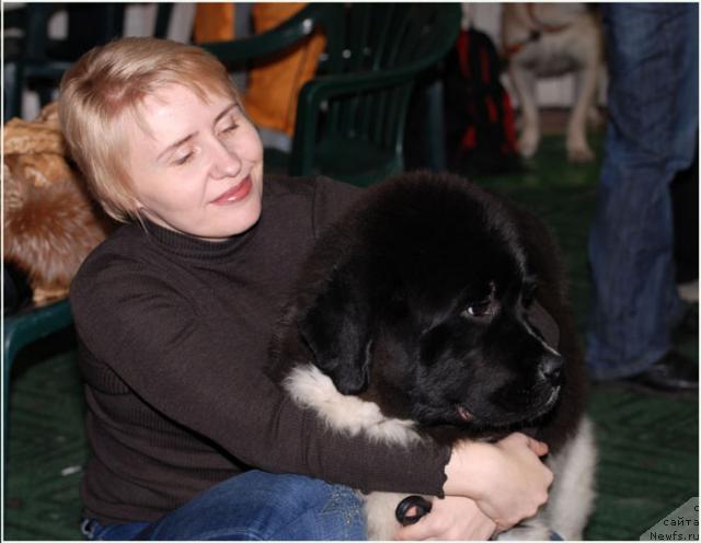 Фото: ньюфаундленд Eros Faundland, Tat'yana Morozova (Татьяна Морозова)