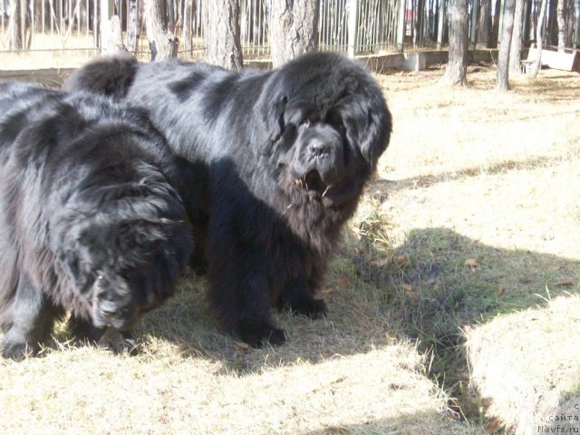 Фотография № 106326