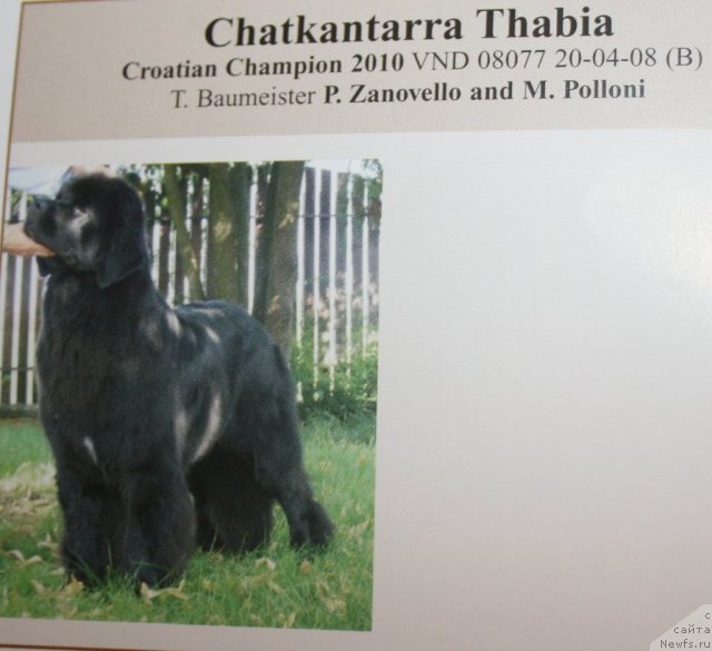 Фото: Chatkantarra Thabia