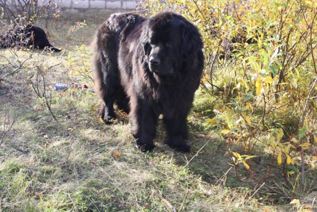 Фотография № 106346