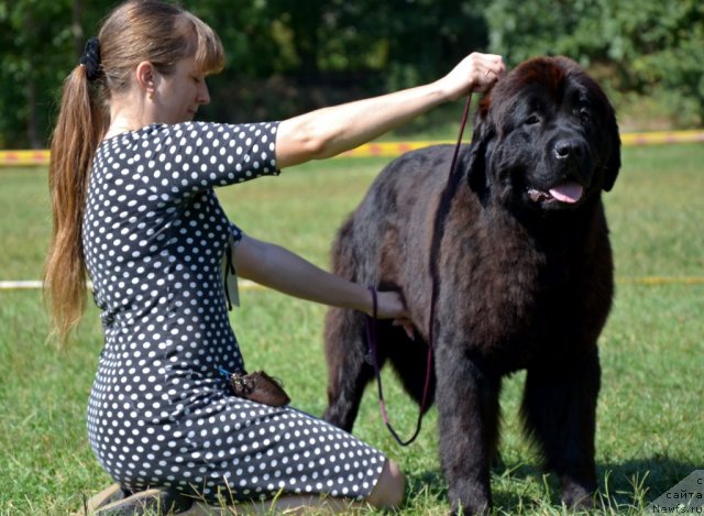 Фотография № 106365