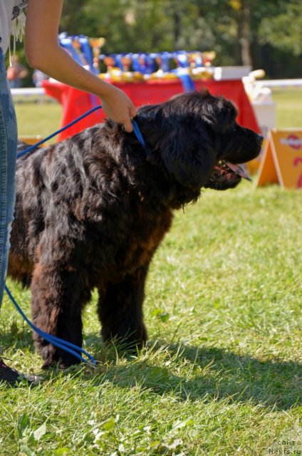 Фотография № 106366