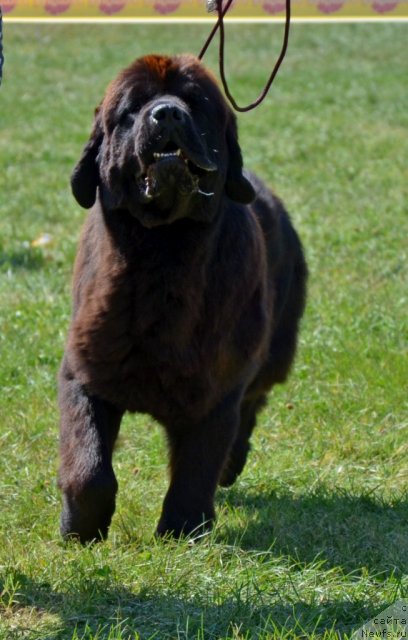 Фотография № 106368