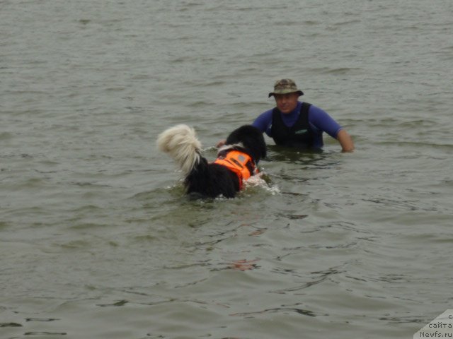 Фотография № 106434