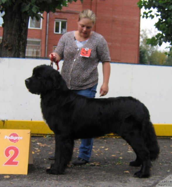 Фотография № 106470