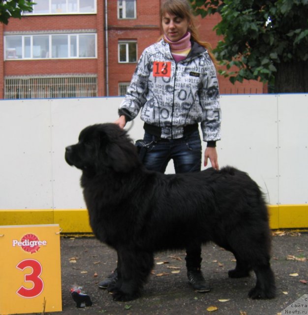 Фотография № 106476