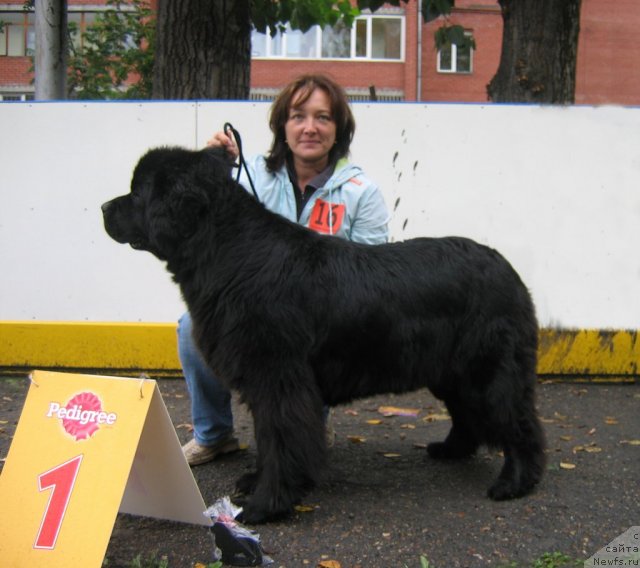 Фотография № 106479