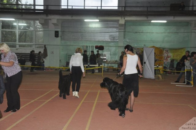 Фотография № 106502