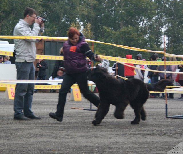 Фотография № 106523