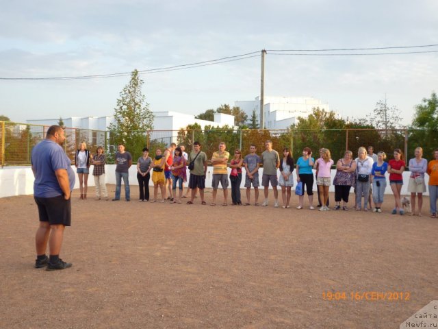 Фотография № 106538