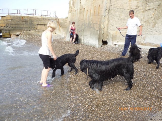 Фотография № 106539