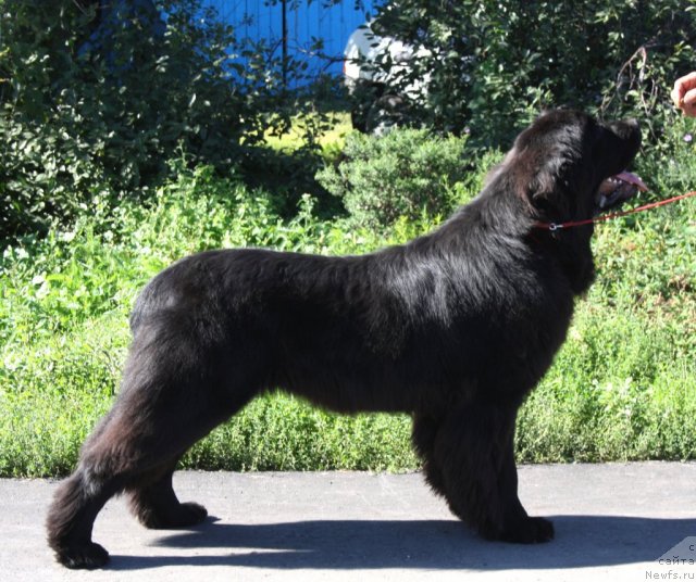 Фотография № 106633