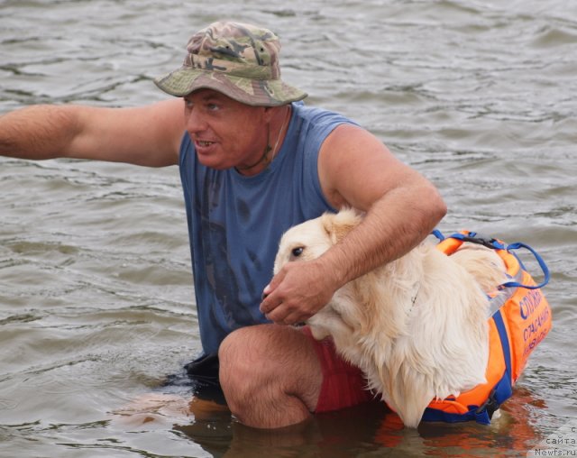 Фотография № 106647