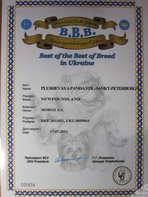 Фото: ньюфаундленд Plyushevaya Panda Stil'-Sankt-Peterburga (Плюшевая Панда Стиль-Санкт-Петербурга)