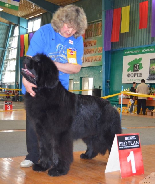 Фотография № 106661