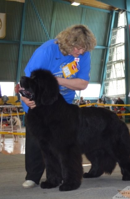 Фотография № 106662