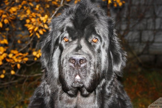 Фотография № 106714