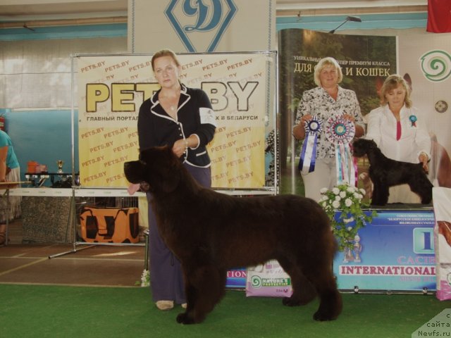 Фото: Ol'ga Zalivako (Ольга Заливако), Likefather Likeson Midnight Bear