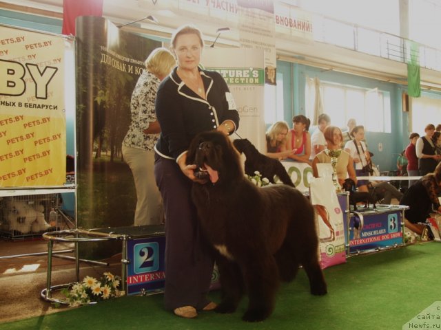 Фото: Ol'ga Zalivako (Ольга Заливако), Likefather Likeson Midnight Bear