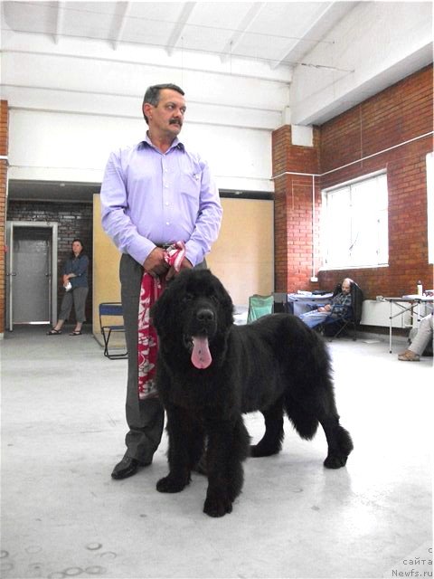 Фотография № 106733