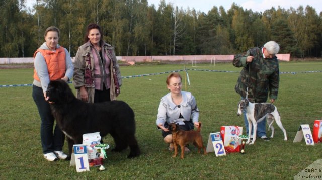 Фотография № 106737