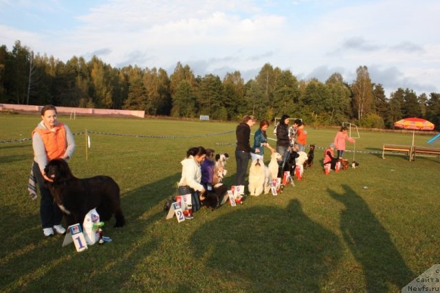 Фотография № 106738