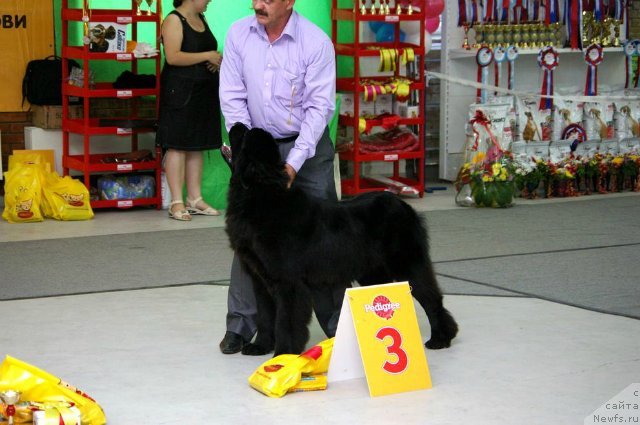 Фотография № 106740